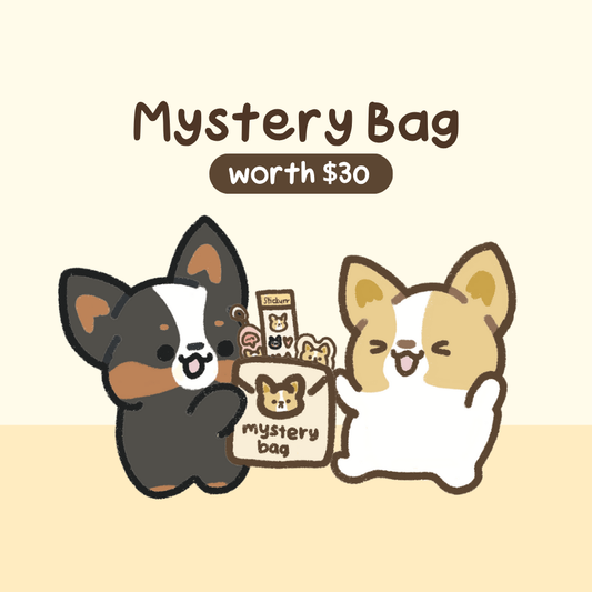 Corgiyolk Mystery Bag