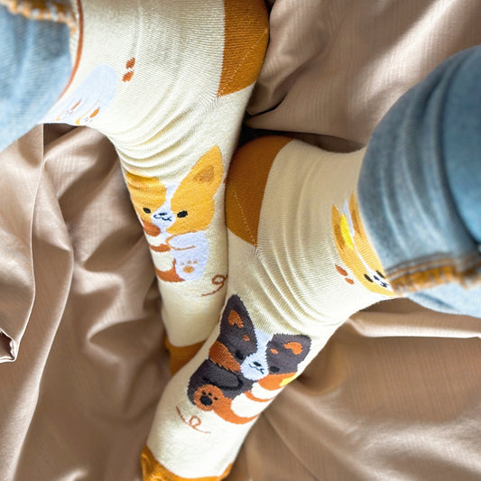 Pancake Corgi Socks