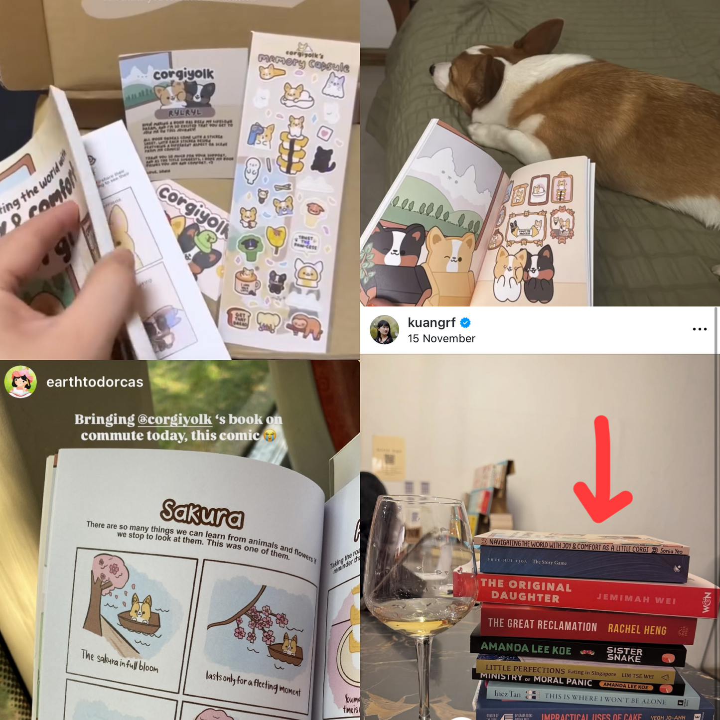 [Book] Navigating the World with Joy and Comfort as a Little Corgi