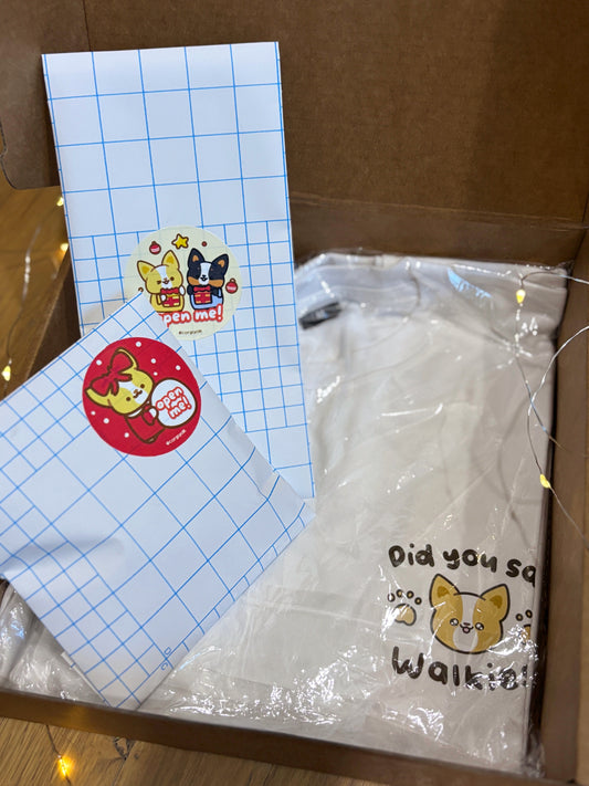 Holiday Grab Bag & Box (Limited run)