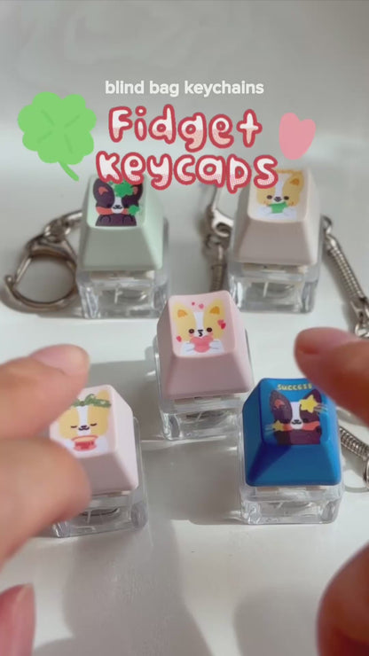 Fortune Corgis Keycap Blind Bag Keychains